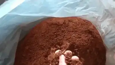 Pó de coco Carve Substratos